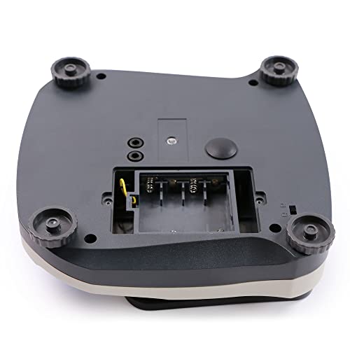 Precision Electronic Balance with RS232 Port, 0.01g (1200g)