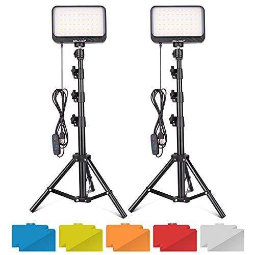 VIP LED Video Light Kit with Tripod Stand