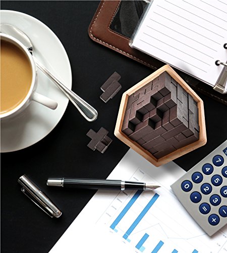 Genius T-Shape Wooden Brain Teaser Puzzle for all ages