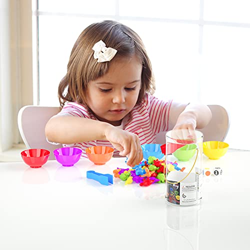 Dinosaur Matching Game with Sorting Cups - STEM Toy