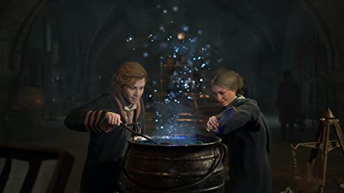 Hogwarts Legacy - PlayStation 5 VIP Edition
