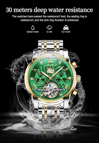 OLEVS Automatic Luxury Mechanical Watch for MenVIP Shopping
