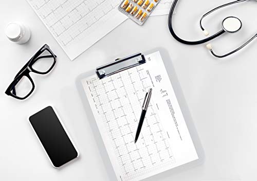 12 Pack Clear Plastic Clipboards, 12.5 x 9 Inch