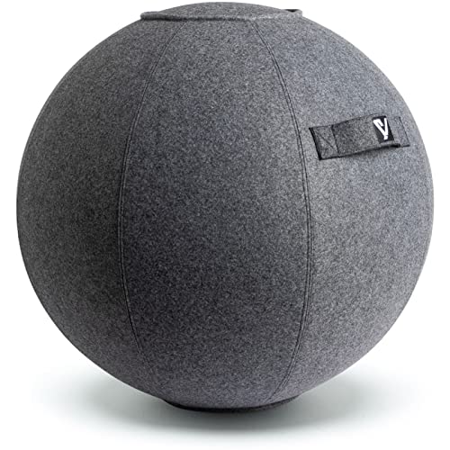 Ergonomic Gray 24" Ball Chair for Office & Home
