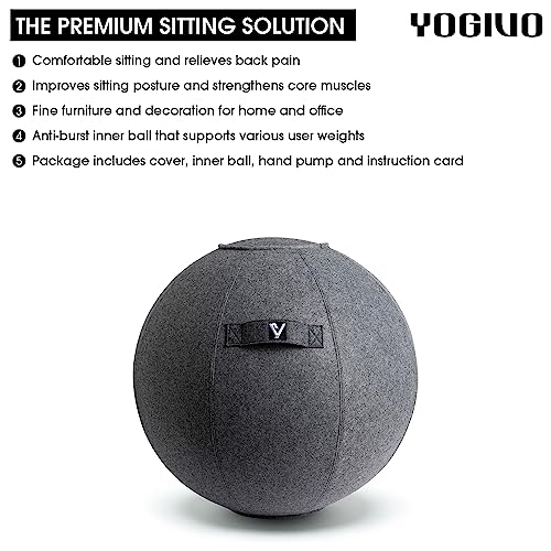 Ergonomic Gray 24" Ball Chair for Office & Home
