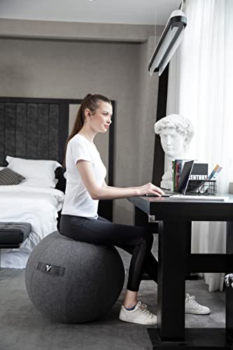 Ergonomic Gray 24" Ball Chair for Office & Home