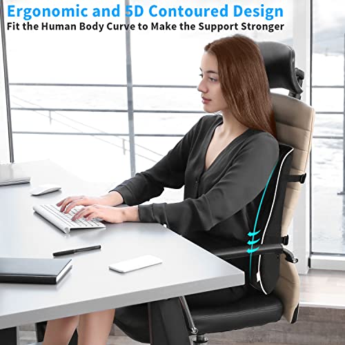 Ergonomic Lumbar Support Pillow for VIP Comfort