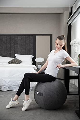 Ergonomic Gray 24" Ball Chair for Office & Home