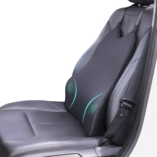 Dreamer Lumbar Support Pillow for Driving - Black