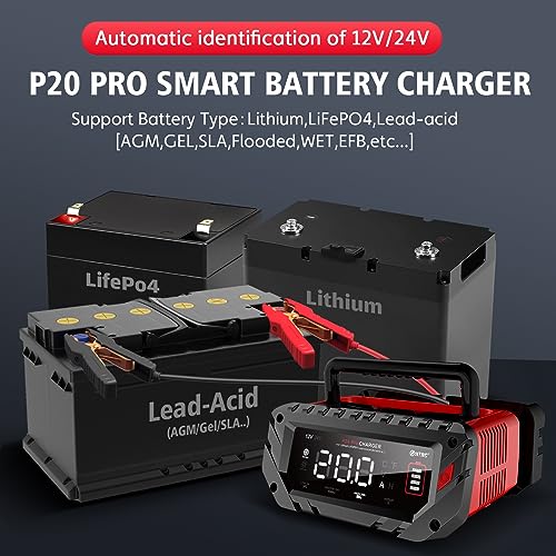 VIP Lithium Car Battery Charger, Smart Trickle Charger