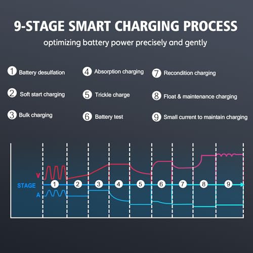 VIP Lithium Car Battery Charger, Smart Trickle Charger