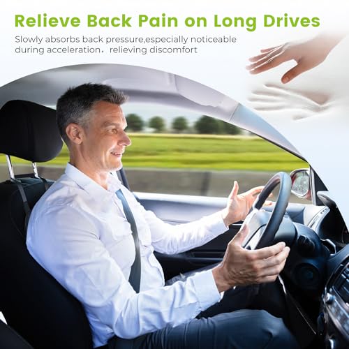 Dreamer Lumbar Support Pillow for Driving - Black