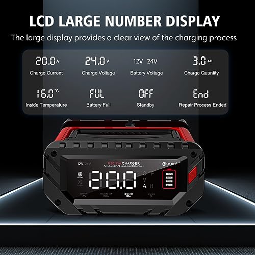 VIP Lithium Car Battery Charger, Smart Trickle Charger