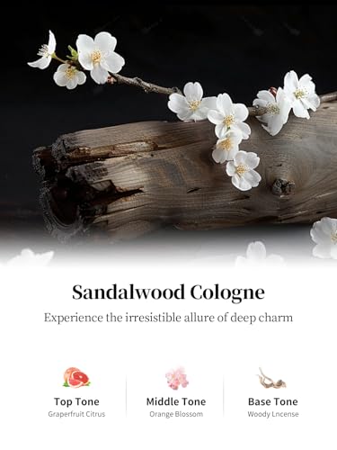 2024 Ceeniu Smart Car Air Fresheners VIP Scents