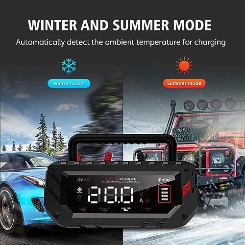 VIP Lithium Car Battery Charger, Smart Trickle Charger