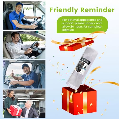 Dreamer Lumbar Support Pillow for Driving - Black