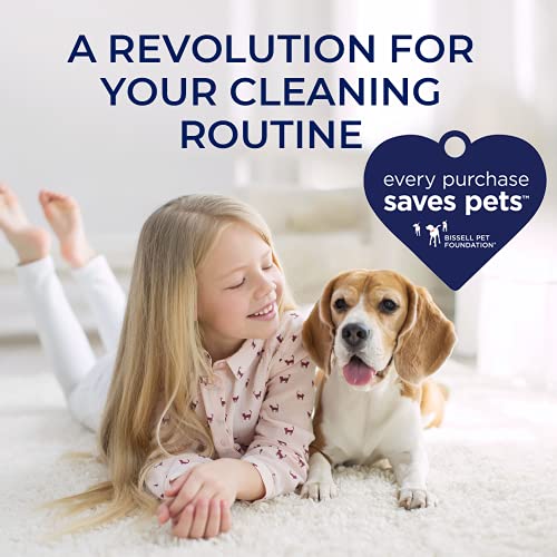 Bissell Portable Deep Cleaner for VIP AutoCare - Black