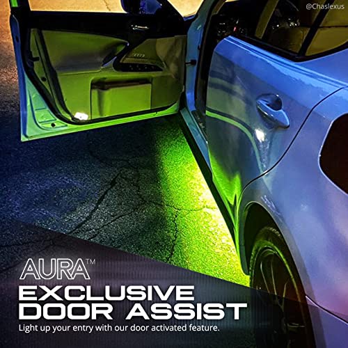 VIP Car Exterior Underglow Kit with Remote Control
