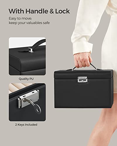 VIP Jewelry Box Organizer Case with Travel, Black