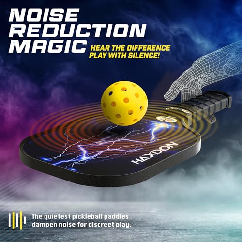 Haxdon USAPA Approved Pickleball Paddles Set - Fiberglass Surface