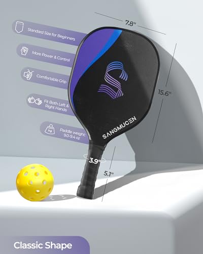 VIP Pickleball Net Set with Portable Nets & Gear