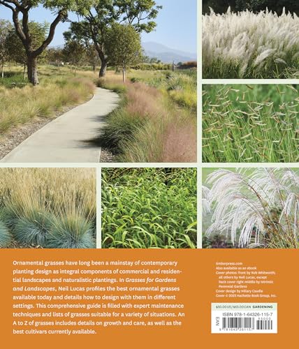 Premium Grasses for Stunning Gardens and Landscapes