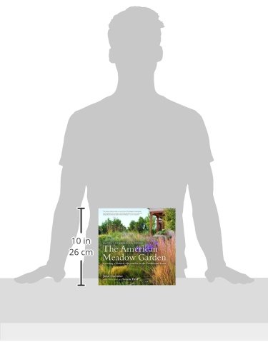 American Meadow Garden: Natural Alternative to Traditional Lawn