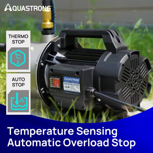 VIP Aquastrong 1.6HP Stainless Steel Garden Pump