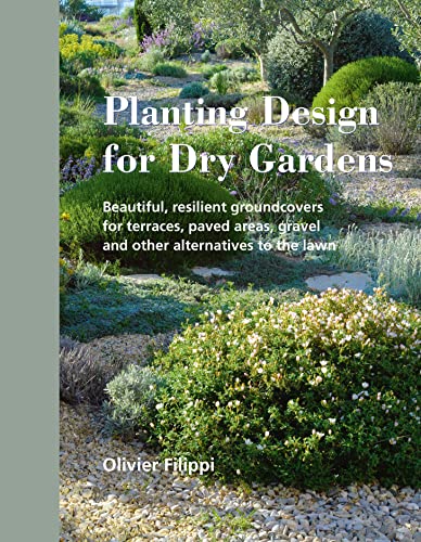 Stunning Groundcovers for Dry Gardens, Terraces, and More