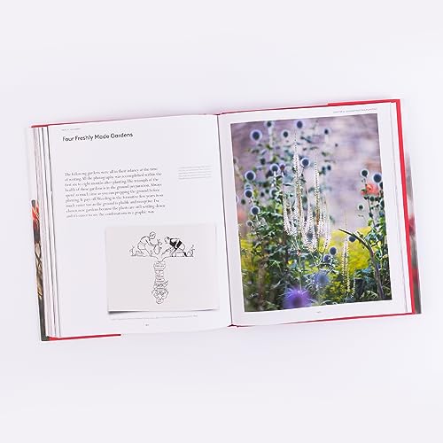 VIP Garden Design Guide: Creating the Perfect Oasis