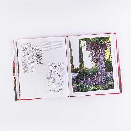 VIP Garden Design Guide: Creating the Perfect Oasis