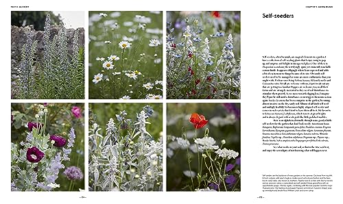 VIP Garden Design Guide: Creating the Perfect Oasis