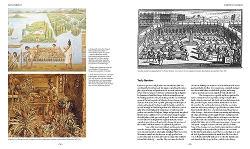 VIP Garden Design Guide: Creating the Perfect Oasis