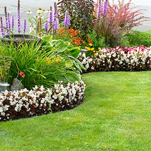 33ft No Dig Garden Landscape Edging Kit VIP Shop