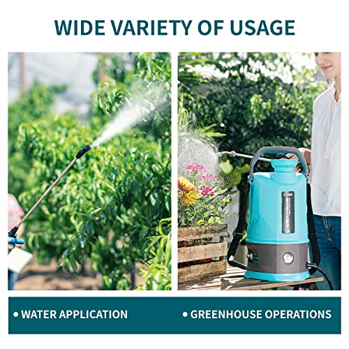 VIP Lawn & Garden Weed Sprayer with Double Battery