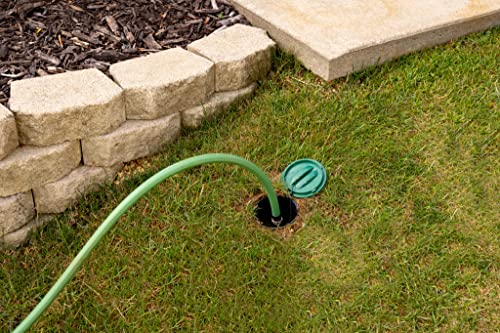 Rain Bird In-Ground Pro Rotor Sprinkler System Kit