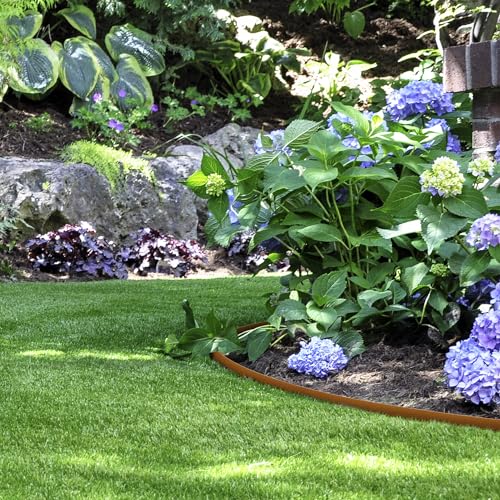 Rustic Steel Edging Strips for Garden VIPs