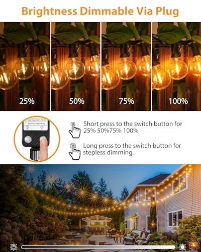 VIP Outdoor String Lights Set with Timer & Dimmer