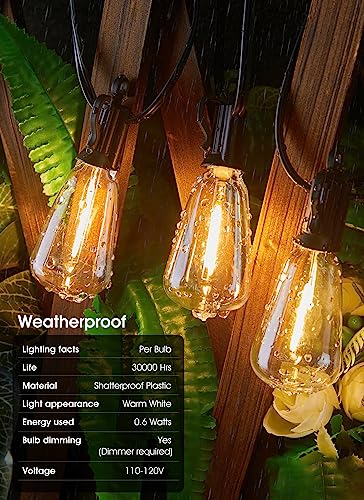 VIP Outdoor String Lights with Dimmable LED Bulbs