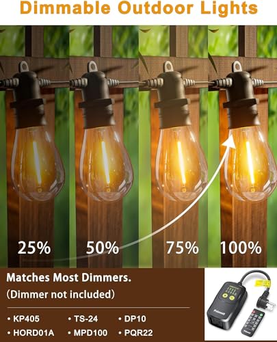 VIP Outdoor Light Strings with Shatterproof LED Bulbs