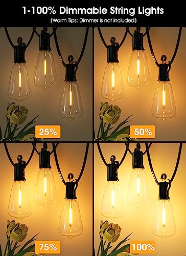 VIP Outdoor String Lights with Dimmable LED Bulbs