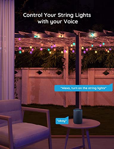 RGBIC Smart Outdoor String Lights for Father's Day