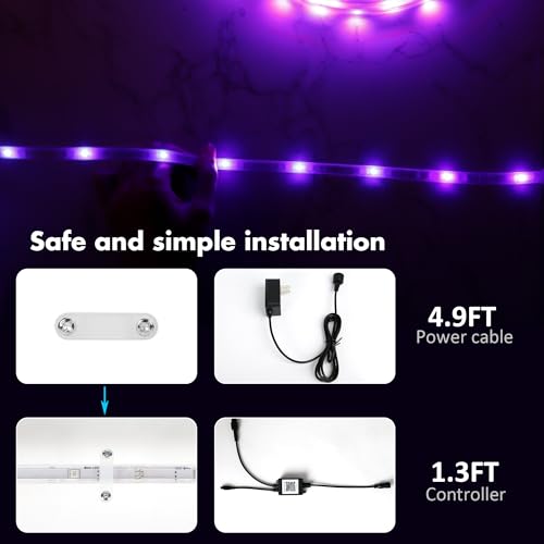 Premium 100ft Outdoor LED Strip Lights for VIP