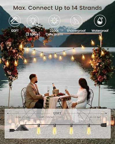 VIP Outdoor String Lights: Dimmable Warm LED Bulbs