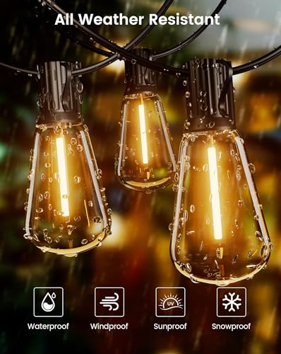 VIP Outdoor String Lights: Dimmable Warm LED Bulbs