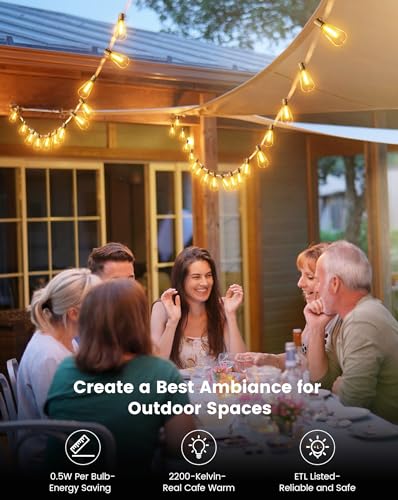 VIP Outdoor String Lights: Dimmable Warm LED Bulbs