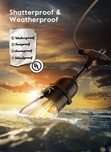 52 FT Outdoor String Lights with Remote and Timer