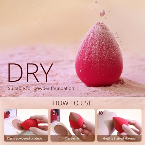 BEAKEY 5 Pcs Makeup Sponge Set, Blending Beauty Flawless