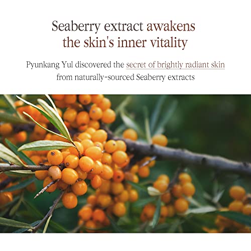 VIP Black Tea Boosting Serum, Anti-aging, with Ginseng