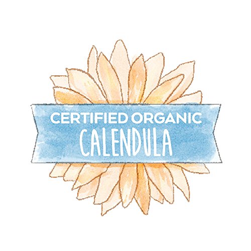 Cetaphil Baby Daily Lotion - Organic Calendula - Sweet Almond Oil